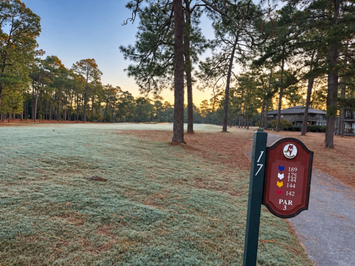 Frosty morning on the par-3 17th hole at Foxfire with pines and sunrise