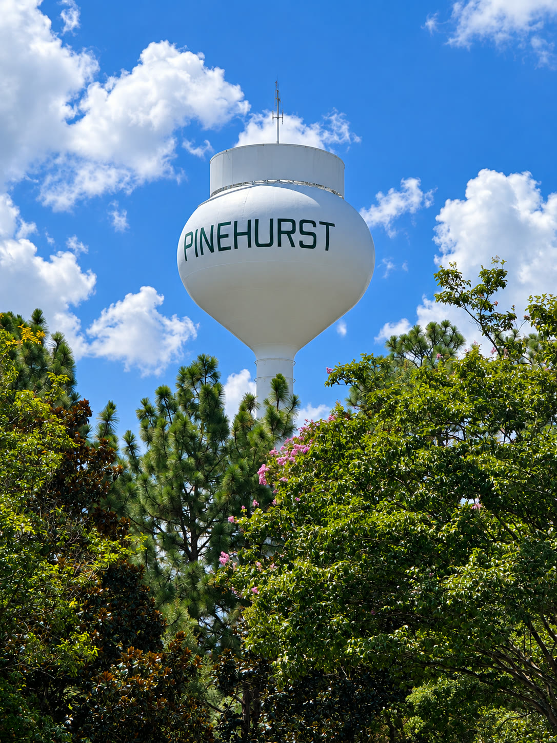 Pinehurst water tower rising above the longleaf pines and summer greenery